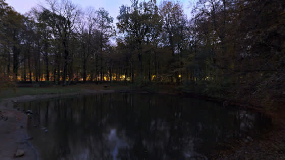 pond bridge night